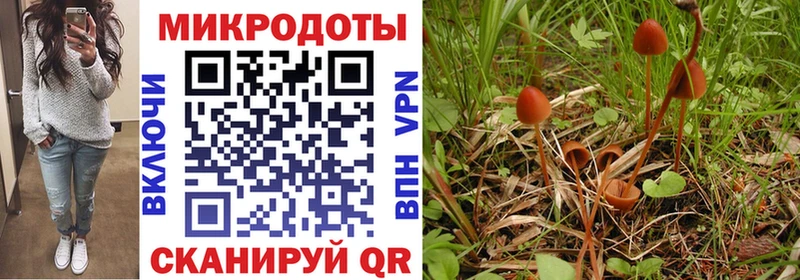 даркнет сайт  Энем  Галлюциногенные грибы мухоморы 